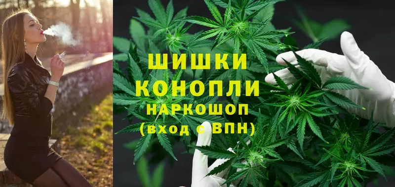 Бошки марихуана OG Kush  продажа наркотиков  Ардатов 